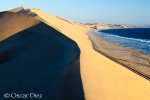 Mar y dunas