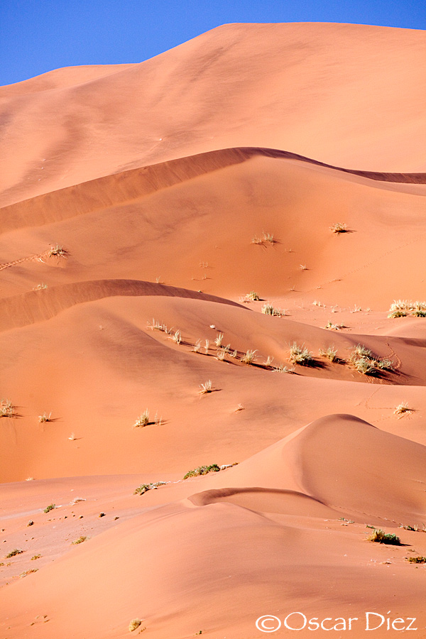 Giant dunes