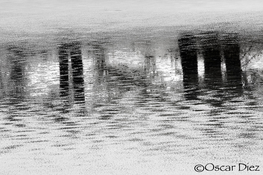 Reflections in black and white