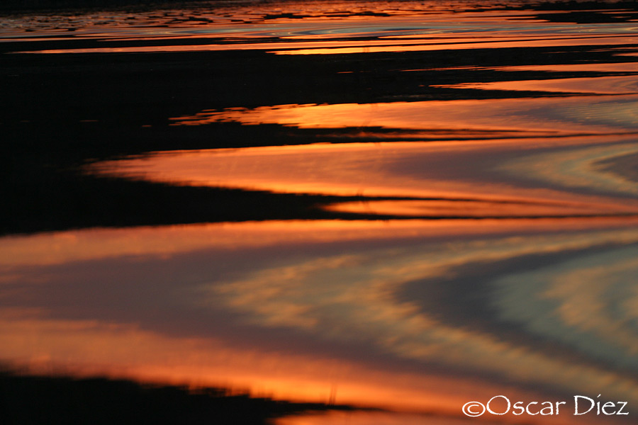 Reflejos rojos