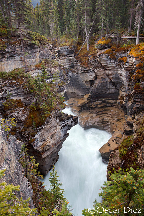 El cañón de la cascada de Athabasca