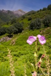 Sierra de Gredos