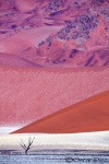 Soledad