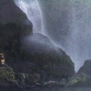 Cormoran bajo la Cascada