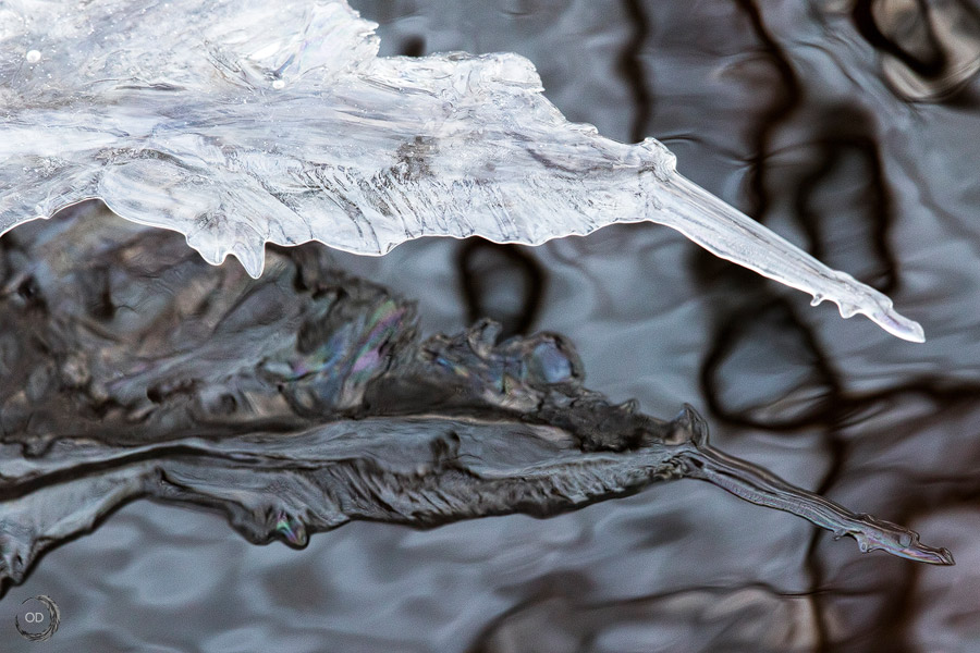 Reflejo del hielo
