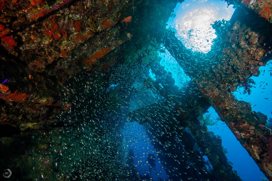 Carnatic Wreck