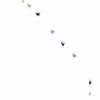 Ibice del Himalaya <i> (Capra sibirica hemalayanus) </i>
