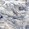 Chova Piquirroja <i>(Pyrrhocorax pyrrhocorax)</i>