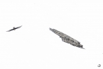 Quebrantahuesos <I>(Gyepatus barbatus)</i>