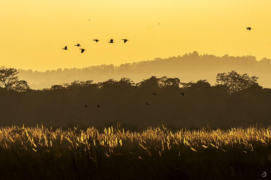 _40A9965-2 copia.jpg